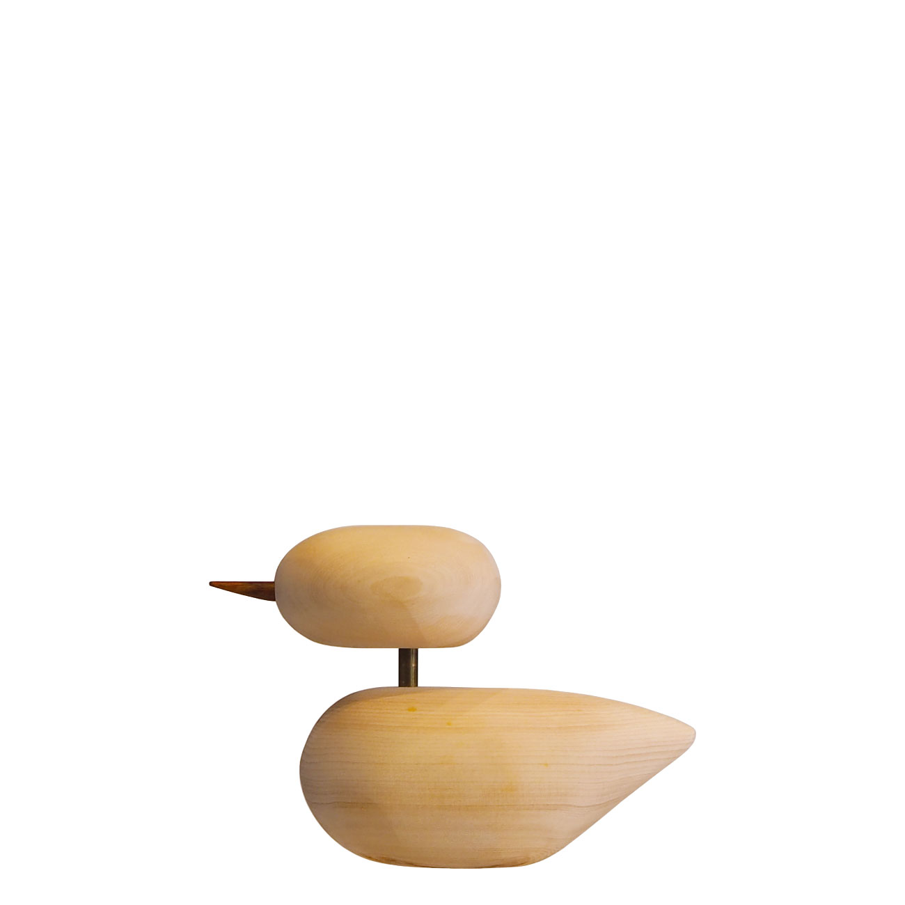 W_Na_duck_c